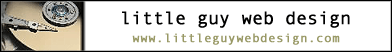 Little Guy Web Design